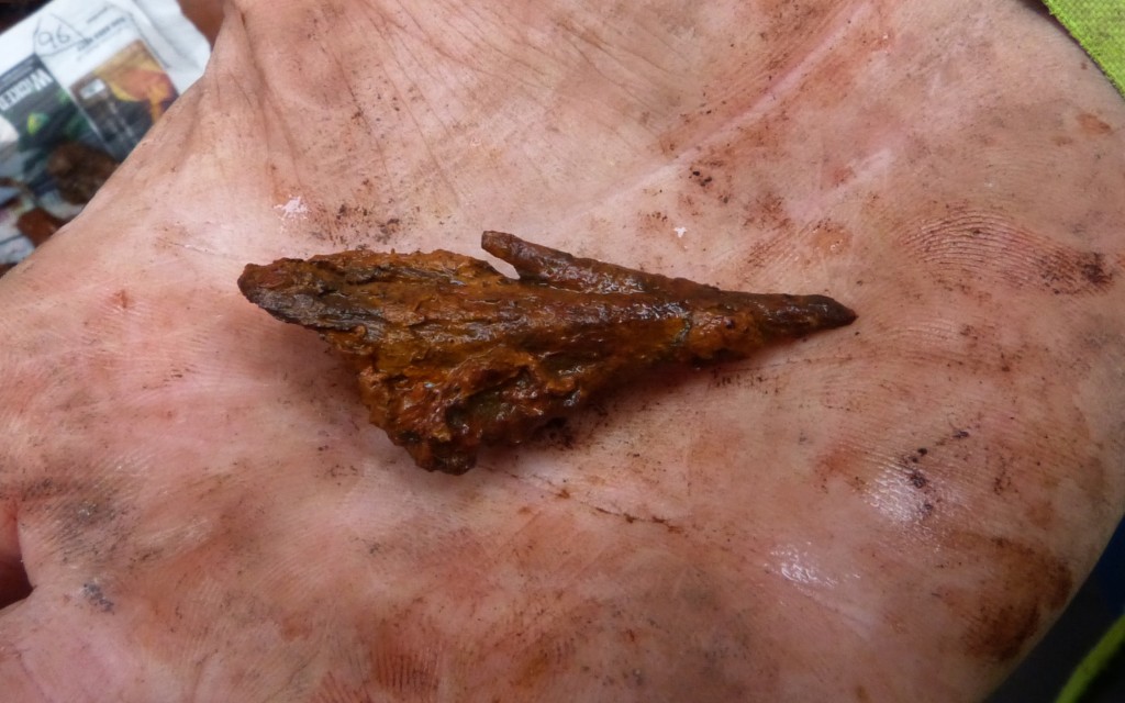 This beautifully preserved arrowhead was one of the many exciting discoveries.